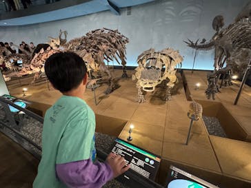 福井県立恐竜博物館に投稿された画像（2025/4/29）