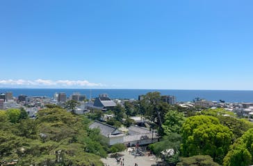 小田原城に投稿された画像（2025/4/29）