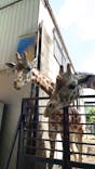 宇都宮動物園に投稿された画像（2025/4/29）