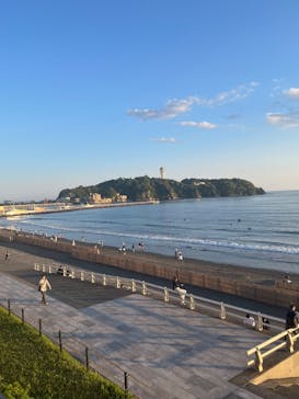 新江ノ島水族館に投稿された画像（2025/4/29）