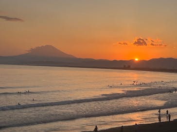 新江ノ島水族館に投稿された画像（2025/4/29）