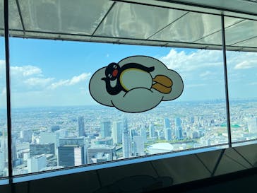 横浜ランドマークタワー 69階展望フロア スカイガーデンに投稿された画像（2025/4/29）