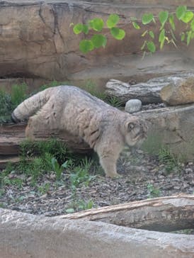 那須どうぶつ王国に投稿された画像（2025/4/29）