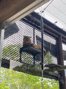 名古屋市東山動植物園に投稿された画像（2025/4/29）