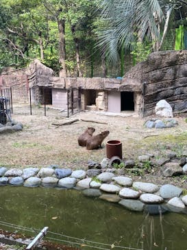 名古屋市東山動植物園に投稿された画像（2025/4/29）