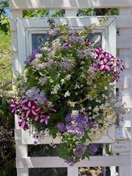 ぎふワールド・ローズガーデンに投稿された画像（2025/4/29）