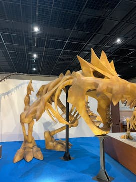 福井県立恐竜博物館に投稿された画像（2025/4/29）
