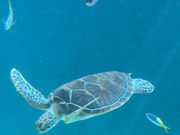 葛西臨海水族園に投稿された画像（2025/4/29）