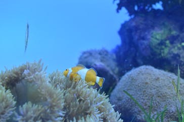 葛西臨海水族園に投稿された画像（2025/4/29）