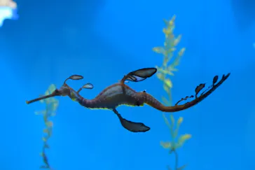 葛西臨海水族園に投稿された画像（2025/4/29）