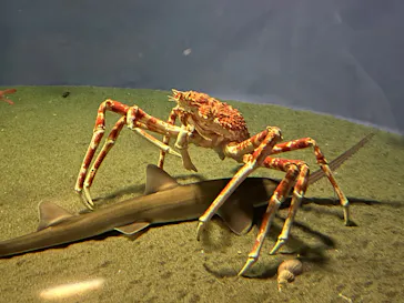 葛西臨海水族園に投稿された画像（2025/4/29）