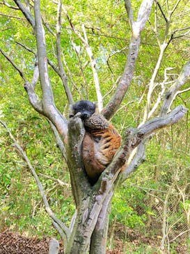 長崎バイオパークに投稿された画像（2025/4/29）