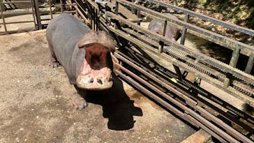 長崎バイオパークに投稿された画像（2025/4/29）