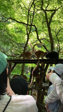 長崎バイオパークに投稿された画像（2025/4/29）