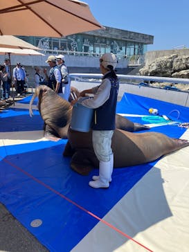 大分マリーンパレス水族館 「うみたまご」に投稿された画像（2025/4/29）