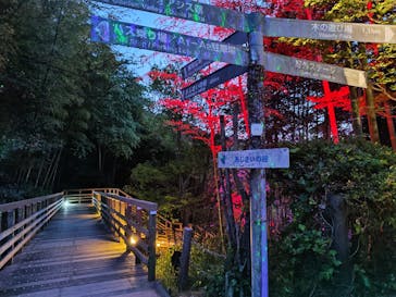 ニジゲンノモリに投稿された画像（2025/4/29）