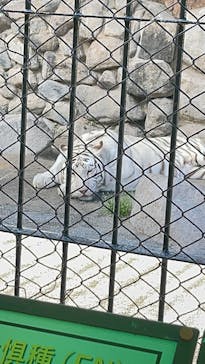 東武動物公園に投稿された画像（2025/4/29）