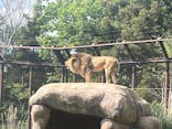 千葉市動物公園に投稿された画像（2025/4/30）