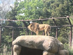 千葉市動物公園に投稿された画像（2025/4/29）
