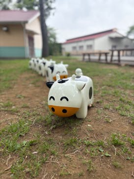 成田ゆめ牧場に投稿された画像（2025/4/29）