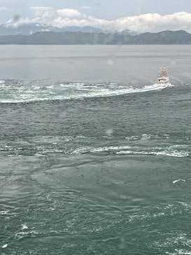 徳島県立 渦の道に投稿された画像（2025/4/29）