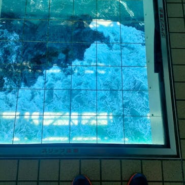 徳島県立 渦の道に投稿された画像（2025/4/29）