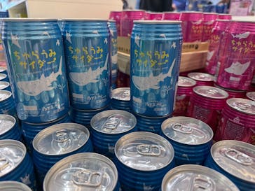 沖縄美ら海水族館に投稿された画像（2025/4/29）