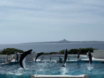 沖縄美ら海水族館に投稿された画像（2025/4/29）