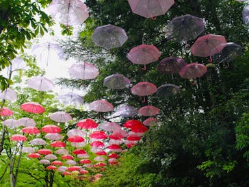 ムーミンバレーパークに投稿された画像（2025/4/29）