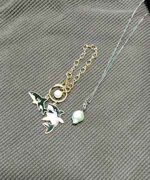 アクアワールド茨城県大洗水族館に投稿された画像（2025/4/29）