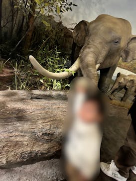 滋賀県立琵琶湖博物館に投稿された画像（2025/4/29）