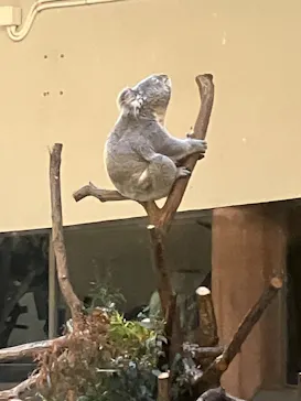 多摩動物公園に投稿された画像（2025/4/30）