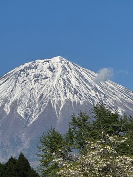 まかいの牧場に投稿された画像（2025/4/30）