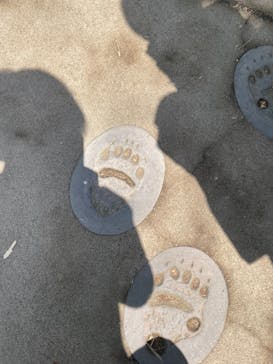 恩賜上野動物園に投稿された画像（2025/4/30）