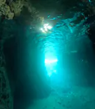 武藤潜水に投稿された画像（2025/4/30）