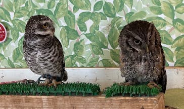 Moff animal world BIGHOPガーデンモール印西店に投稿された画像（2025/4/30）