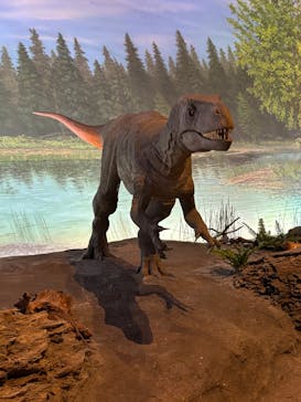 福井県立恐竜博物館に投稿された画像（2025/4/30）