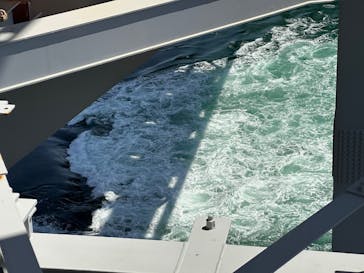 徳島県立 渦の道に投稿された画像（2025/4/30）