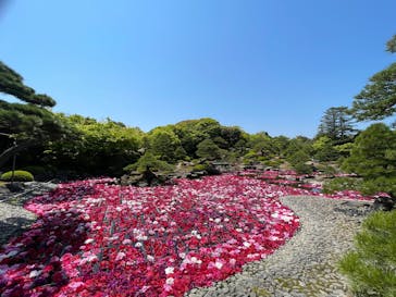 日本庭園　由志園に投稿された画像（2025/4/30）