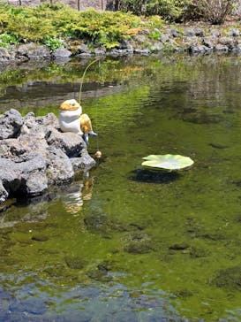 富士芝桜まつり(富士本栖湖リゾート)に投稿された画像（2025/4/30）
