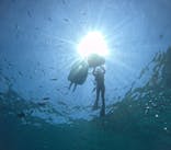 沖縄マリンサービス碧に投稿された画像（2025/4/30）