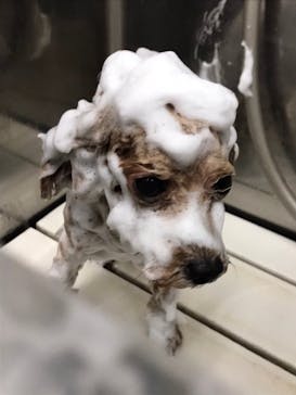 THE SPA 西新井に投稿された画像（2025/4/30）