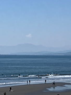 新江ノ島水族館に投稿された画像（2025/4/30）