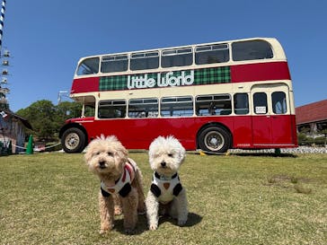 野外民族博物館 リトルワールドに投稿された画像（2025/4/30）