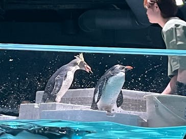 AOAO SAPPOROに投稿された画像（2025/4/30）