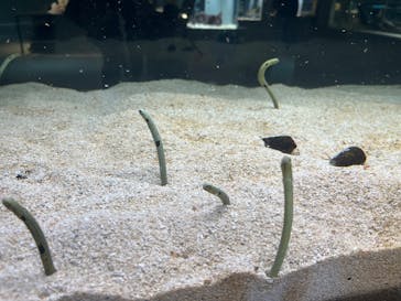 AOAO SAPPOROに投稿された画像（2025/4/30）