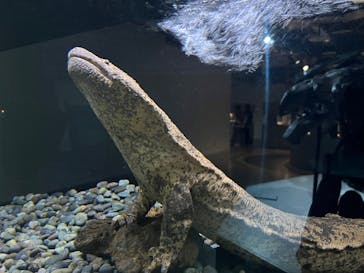 AOAO SAPPOROに投稿された画像（2025/4/30）