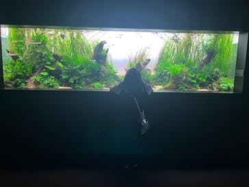 AOAO SAPPOROに投稿された画像（2025/4/30）