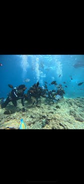 武藤潜水に投稿された画像（2025/4/30）