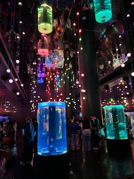 マクセル アクアパーク品川に投稿された画像（2025/4/30）